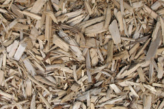 biomass boilers Grithean